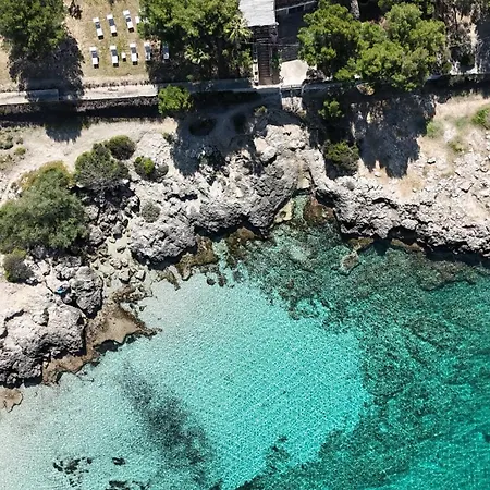 Mhami 4* פולסנו